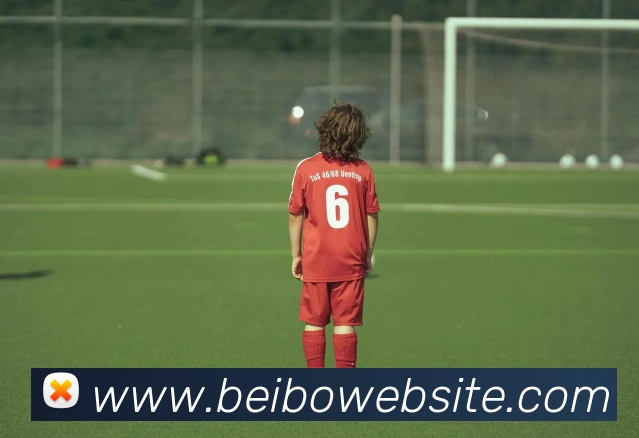 贝博体育品牌故事